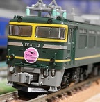 EF81-113TW
