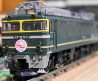 EF81-114TW